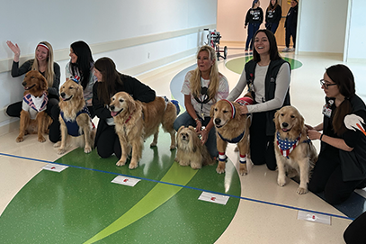 pet therapy dogs at start line JDCH Olympics